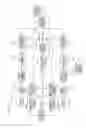 Fig. 09 - Image pickup apparatus