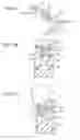 Fig. 07 - Image viewing glasses