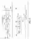 Fig. 03 - Extended range optical imaging system for use in turbid media