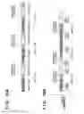 Fig. 19 - Selectively changing printing order of print data depending on selected binding process