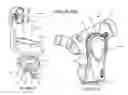 Fig. 02 - Altitude-azimuthal mount for optical instruments