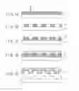 Fig. 02 - Magnetic recording medium, method of manufacturing the same, and magnetic recording apparatus