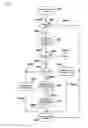 Fig. 07 - METHOD FOR A COMMUNICATION NODE WITH A PLURALITY OF COMMUNICATION INTERFACES TO NOTIFY DYNAMIC PATH SETUP AND ASSOCIATES APPARATUS THEREOF