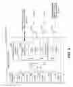 Fig. 04 - VoIP service threshold determination by wireless router