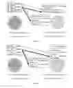 Fig. 16 - Method for joint configuration of nuclear power plant fuel