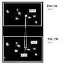 Fig. 08 - Method of dynamic cell tracking in a sample