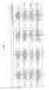 Fig. 08 - Image processing apparatus and method, and program