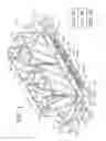 Fig. 02 - CANDLE FIREPLACE