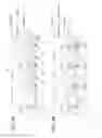 Fig. 04 - Image forming apparatus for suppressing reverse transfer of images