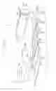 Fig. 09 - ELECTROPHOTOGRAPHIC IMAGE FORMING APPARATUS