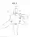 Fig. 12 - Developing apparatus and image forming apparatus using same