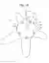 Fig. 14 - Developing apparatus and image forming apparatus using same