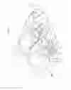 Fig. 08 - DOCUMENT TRANSPORTING DEVICE AND IMAGE FORMING APPARATUS