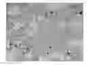 Fig. 01 - MAGNESIUM ALLOY AND METHOD FOR MAKING THE SAME