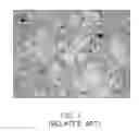 Fig. 02 - MAGNESIUM ALLOY AND METHOD FOR MAKING THE SAME