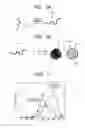 Fig. 02 - Complex and contrast agent for photoimaging using the same