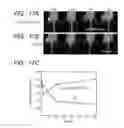 Fig. 14 - Complex and contrast agent for photoimaging using the same
