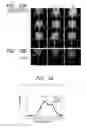 Fig. 15 - Complex and contrast agent for photoimaging using the same