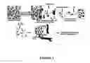 Fig. 02 - Cell-adhesive, enzymatically crosslinked flavonoid hydrogels and methods for making same