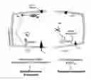 Fig. 01 - METHODS AND COMPOSITIONS FOR MODULATING CARDIAC CONTRACTILITY