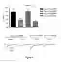 Fig. 07 - METHODS AND COMPOSITIONS FOR MODULATING CARDIAC CONTRACTILITY
