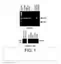 Fig. 02 - METHODS AND COMPOSITIONS RELATED TO PREFOLDIN AND ITS REGULATION