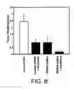 Fig. 09 - METHODS AND COMPOSITIONS RELATED TO PREFOLDIN AND ITS REGULATION