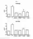Fig. 02 - Pharmaceutical composition containing herbal extract for prevention or treatment of nephritis
