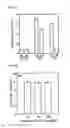 Fig. 09 - COMPOSITION CONTAINING A BEAN EXTRACT FOR IMPROVING BLOOD CIRCULATION AND  INCREASING VASCULAR HEALTH