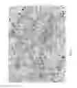 Fig. 05 - SUPERFINE POWDERED STEVIA
