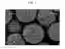 Fig. 02 - Electrostatic image developing toner, method for manufacturing electrostatic image developing toner, developer, and image forming method