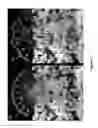 Fig. 02 - Acoustic-assisted iterative wave form optimization for deep tissue focusing