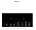 Fig. 09 - Amplification of Distant Nucleic Acid Targets Using Engineered Primers