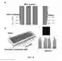 Fig. 09 - Lateral flow microfluidic assaying device and related method