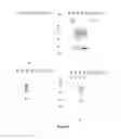 Fig. 03 - Method of cloning stable stress tolerant superoxide dismutase using universal primers