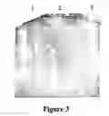 Fig. 04 - Method of cloning stable stress tolerant superoxide dismutase using universal primers