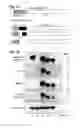 Fig. 02 - Antibodies and kits for immunodetection of epitope tags