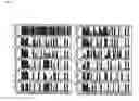 Fig. 04 - RATIONALLY DESIGNED MEGANUCLEASES WITH ALTERED SEQUENCE SPECIFICITY AND DNA-BINDING AFFINITY