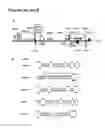 Fig. 03 - DNA virus MicroRNA and methods for inhibiting same