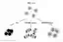 Fig. 02 - LABEL-FREE METHOD FOR DETECTING PRESENCE OR ABSENCE OF NUCLEIC ACIDS