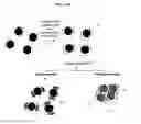 Fig. 03 - LABEL-FREE METHOD FOR DETECTING PRESENCE OR ABSENCE OF NUCLEIC ACIDS