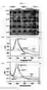 Fig. 09 - LABEL-FREE METHOD FOR DETECTING PRESENCE OR ABSENCE OF NUCLEIC ACIDS