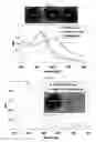 Fig. 15 - LABEL-FREE METHOD FOR DETECTING PRESENCE OR ABSENCE OF NUCLEIC ACIDS
