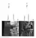 Fig. 09 - Annealing thin films