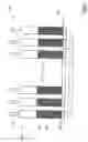 Fig. 16 - Elastic contact device for electronic components with buckling columns