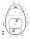 Fig. 03 - Collapsible flotation device