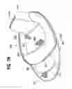 Fig. 09 - Collapsible flotation device