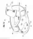 Fig. 18 - Collapsible flotation device