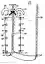 Fig. 04 - Swingbuddies