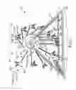 Fig. 02 - Free swing Ferris wheel